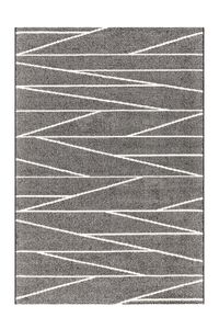 Tapis Amazone 150038 Gris / Crème