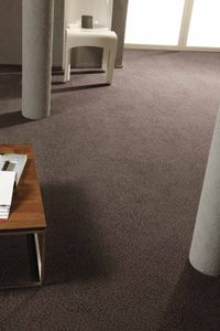 Balsan Constellation "770 Orion"