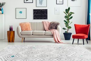 Tapis Amazone 091010 Blanc / Gris