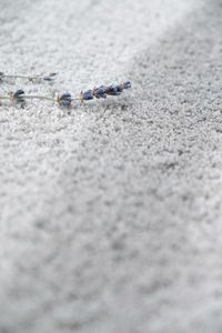 Schatex Noblesse "2917 Gris Clair"
