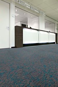 Desso Salt "8102"