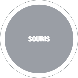 Loxxo Peinture "Souris" Mat