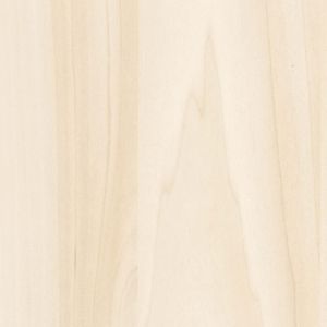 Ter Hürne Panneaux Décoratifs "F20 Peuplier beige crème" (350 x 19,6 cm)