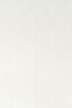 Ter Hürne Unique Design Panneau "Frêne blanc nacré" (260 x 25 cm)