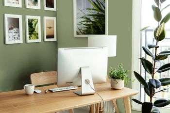 The Color Kitchen "TCK4002 Balmy Basil"