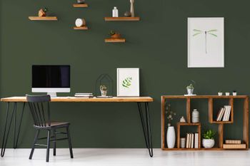 The Color Kitchen "TCK4006 Zippy Zuchini"
