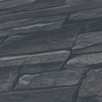 Chantemur Papier peint | B388134