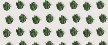 Papier peint panoramique LeafPattern DD109005 A.S. Création AP Digital 4
