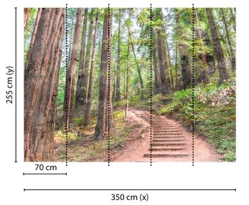 Papier peint panoramique ForestWalk1 DD118626 A.S. Création Designwalls
