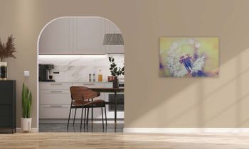 Tableau sur toile DD120287 Dandelion 2 A.S. Création