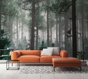 Papier peint Designwalls 2 "DD123520" TreesInFog    