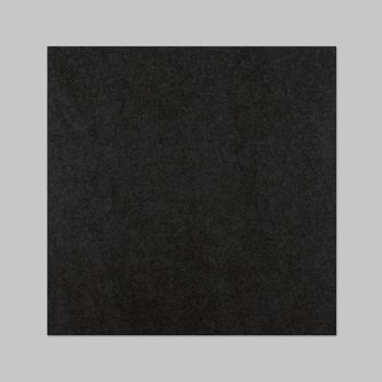 Dalle Garage Pro "Noir" (31 x 31 cm)