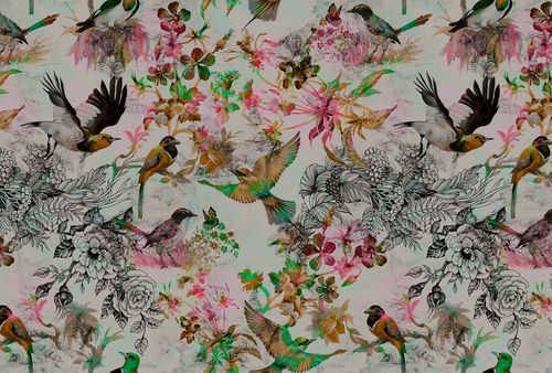 Papier peint panoramique funky birds 1 DD110176 Livingwalls Walls by Patel