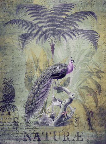 Papier peint panoramique PeacockJungle2 DD119713 A.S. Création ARTist