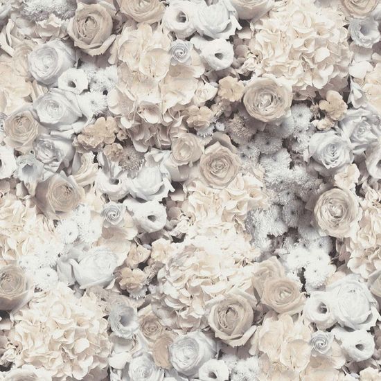 Chantemur Papier peint | B380083
