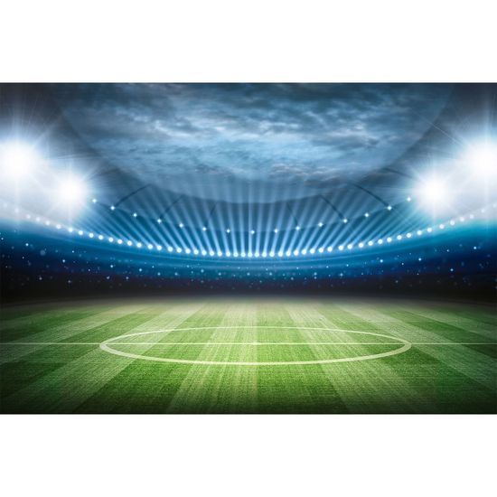 Papier peint panoramique Stadium DD114889 A.S. Création XXL 5
