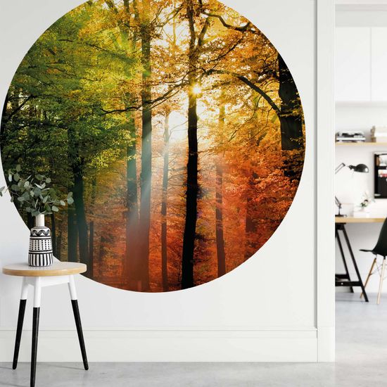 Papier peint panoramique Golden Autumn DD119191 A.S. Création Designwalls