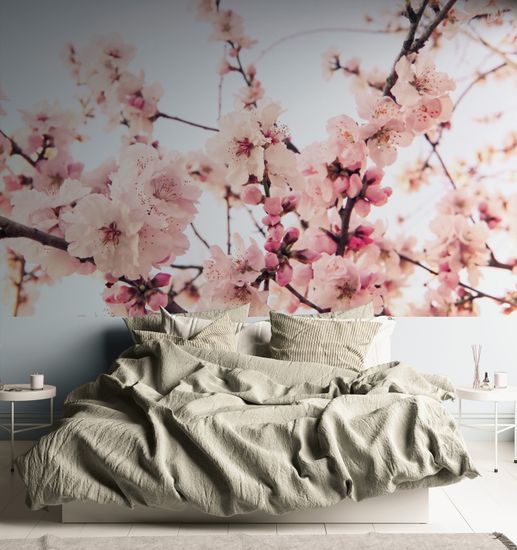 Papier peint panoramique fleurs de cerisier en brun et rose