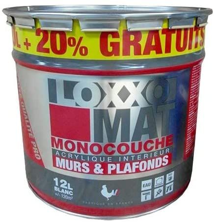 Loxxo Peinture Blanc Mat 10L+20% GT