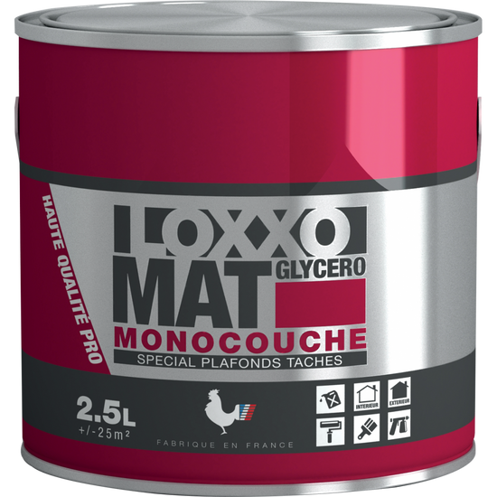 Loxxo Mat Spécial Plafonds Tachés Glycero Blanc 2L5