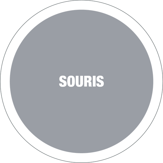 Loxxo Peinture "Souris" Mat