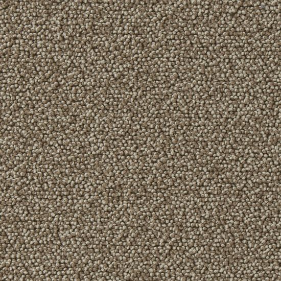 Vorwerk® Punctum "8J50"